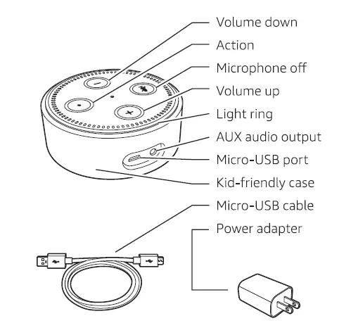 know Echo Dot Kids Edition