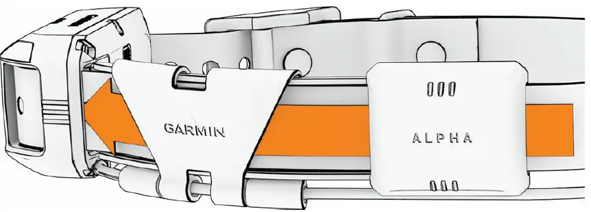 GARMIN-TT-25-Dog-Collar-Device-FIG-11