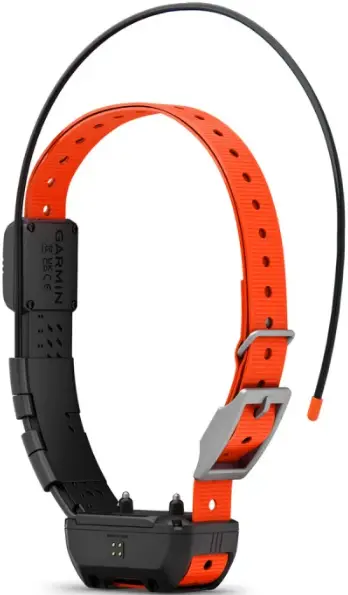 GARMIN-TT-25-Dog-Collar-Device-PRODUCT-IMG