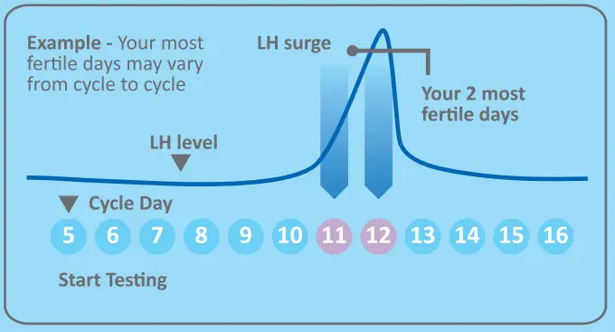 easy-home-Ovulation-Test-Strip-fig-2