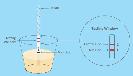 easy-home-Ovulation-Test-Strip-fig-4