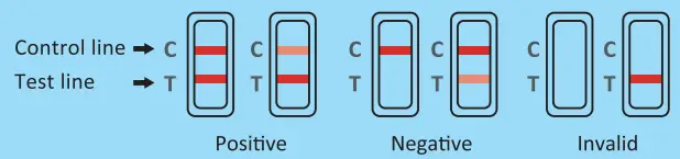 easy-home-Ovulation-Test-Strip-fig-5