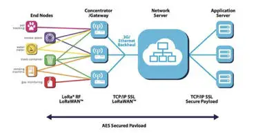 Rejeee-SL111-LoRaWAN-Temperature-and-Humidity-Sensor-04