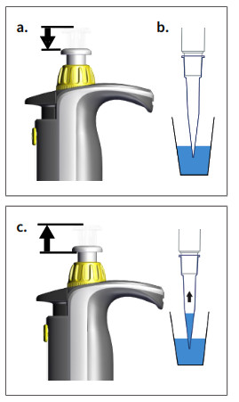 BRAND S 8 Multi Channel Microlitre Pipette Transferpette - fig 3