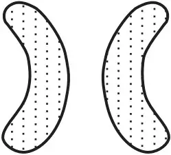 KOBALT SGY AIR294 2 In Air Paint Sprayer - spray pattern 1