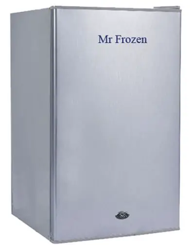 Mr-Frozen-DC-12-24V-Refrigerator-product