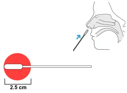LUNGENE COVID-19 Antigen Rapid Test - Nostril