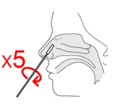 LUNGENE COVID-19 Antigen Rapid Test - brush
