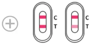 LUNGENE COVID-19 Antigen Rapid Test - control