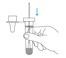 LUNGENE COVID-19 Antigen Rapid Test - extraction