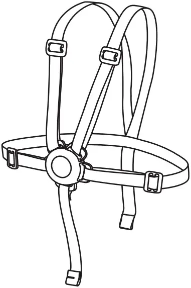 Point Harness