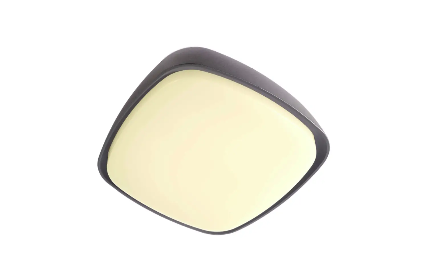 Deko Light 348120 Surface Mounted Ceiling Lamp Instruction Manual Deko Light 348120 Surface Mounted Ceiling Lamp Instruction Manual