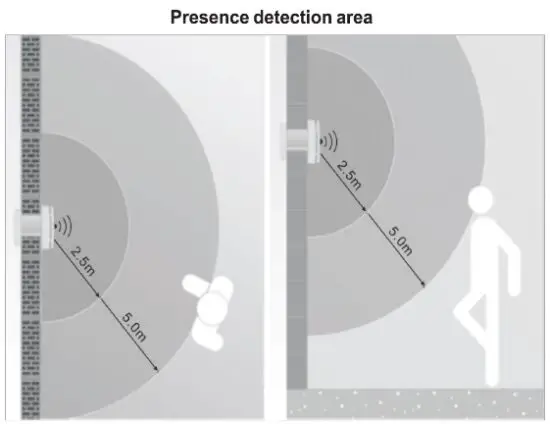 FIG 3 MODELS