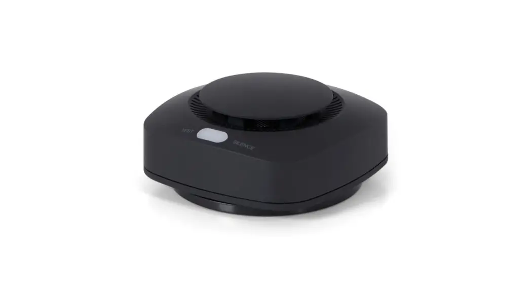 Brainz 38600 Smoke Detector Instruction Manual Brainz 38600 Smoke Detector Instruction Manual