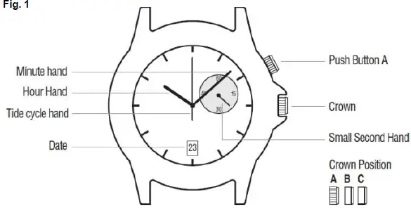 TIMEX Expedition North Slack Tide Watch 01