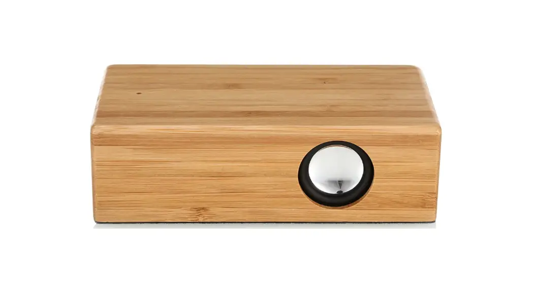 Rgnego Fyd-926 Wood Induction Speaker User Manual
