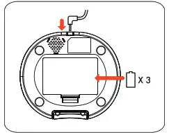 PUPPY KITTY C1ElA Automatic Cat Food Dispenser - startup 4
