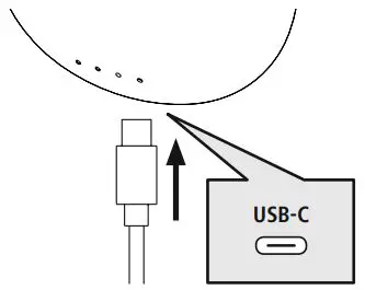 THOMSON WEAR77032 True Wireless Headphones Instruction Manual - Insert the earphones and connect the charging box