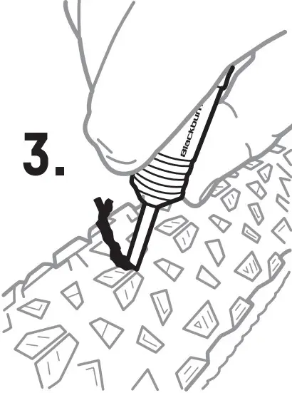 Assembly Instructions