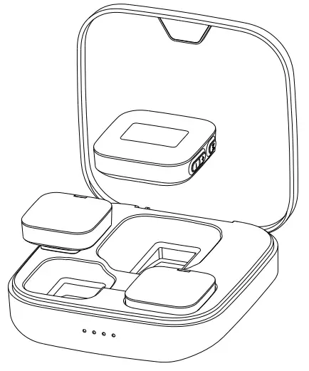 Elontess TDS8 Dual Channel Wireless Microphone System -