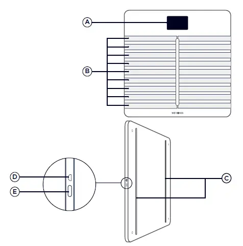WITHINGS-Body-Cardio-WiFi-Weight-Scales-fig- (9)