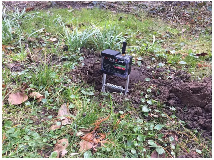 CatchAlive CAOne Mole Trap - fig1