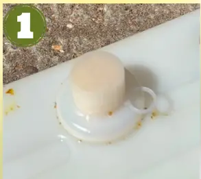 dragonfli-BACgL3KOB0Q-Beepol-Villa-and-Live-Bumblebee-Colony-fig-1