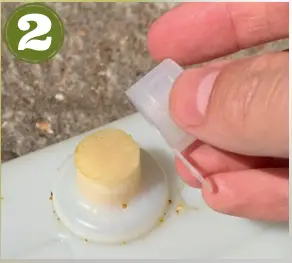 dragonfli-BACgL3KOB0Q-Beepol-Villa-and-Live-Bumblebee-Colony-fig-2