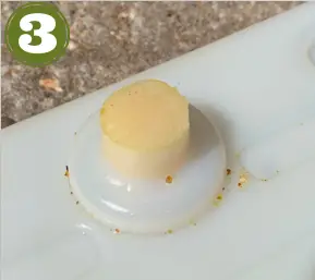 dragonfli-BACgL3KOB0Q-Beepol-Villa-and-Live-Bumblebee-Colony-fig-3