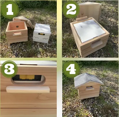 dragonfli-BACgL3KOB0Q-Beepol-Villa-and-Live-Bumblebee-Colony-fig-4