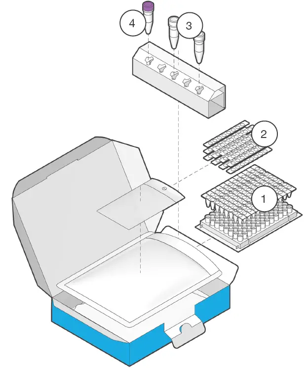 hygiena-KIT-2301-17-Vibrio-Detection-LyoKit-fig-1