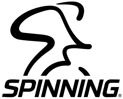SPINNING PRO Logo