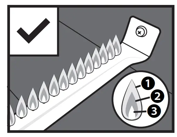 Healthy Burner Flame Pattern