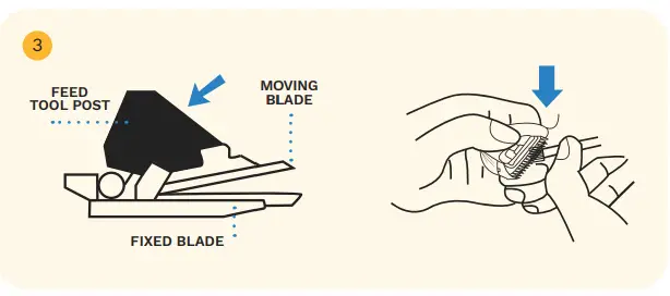 THE-CUT-BUDDY-2007-TRM-Beginners-Clipper-FIG-2