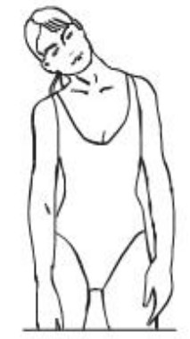 THERUN S200B Folding Treadmill - fig 4