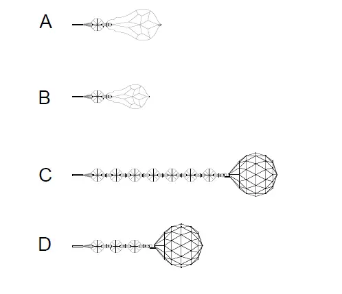 CRYSTORAMA-5938-CH-CL-MWP-Eight-Light-Chandelier-fig- (2)