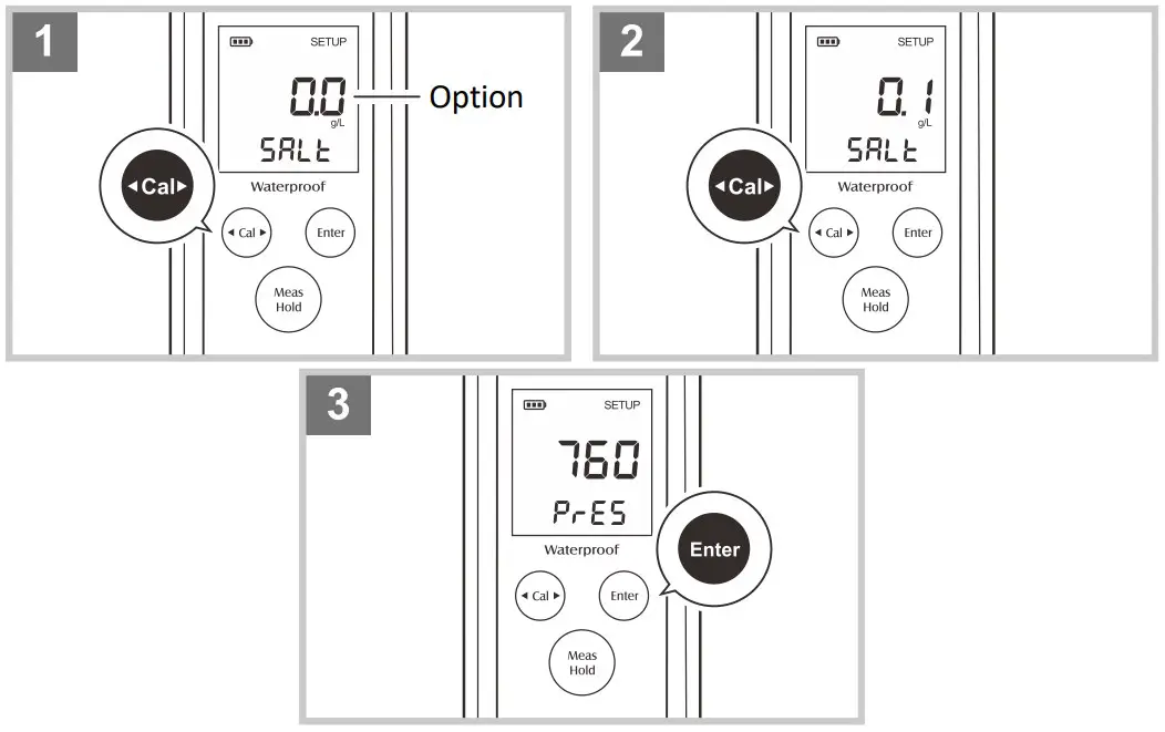 Setting the default option