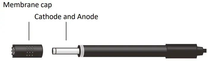 Care and Maintenance