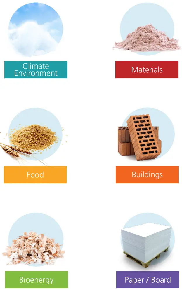Schaller LF-TD 180 Air Humidity Transmitter - fig