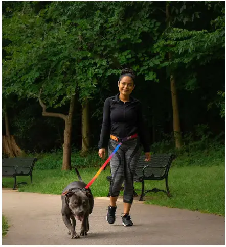 Uniq Pals Hands Free Dog Leash -