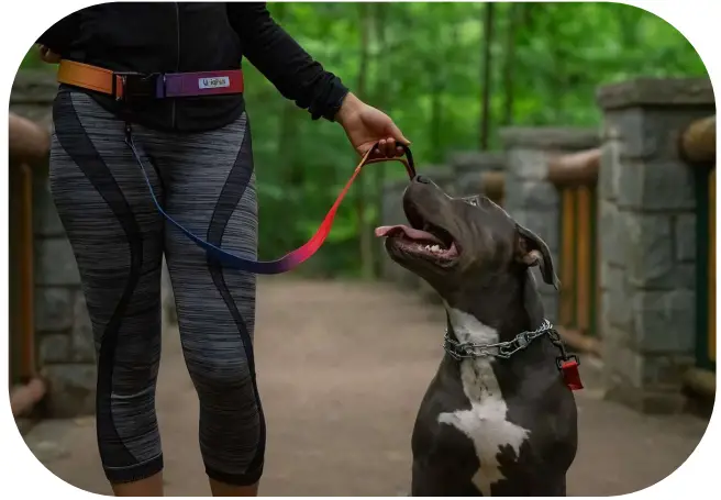 Uniq Pals Hands Free Dog Leash - altogether