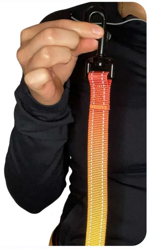 Uniq Pals Hands Free Dog Leash - have your belt