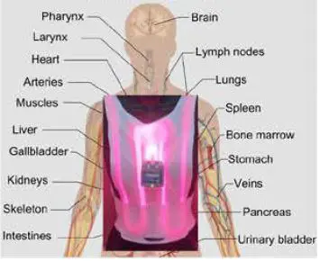 Spectra-THERAPY-A-100-Therapy’s-Wearable-Laserwrap-System-fig- (10)