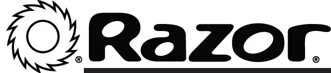 Razor W25143499030 Crazy Cart Motor logo