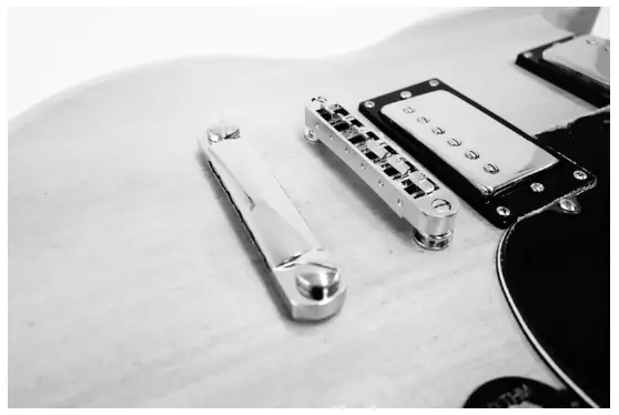 Harley-Benton-255975-DC-Style-Electric-Guitar-Kit-fig- (20)