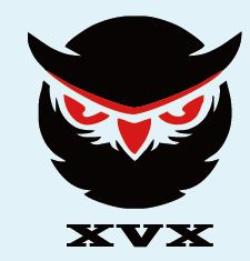 XVX Logo