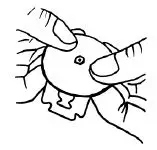 WIRE-MONKEY-UFO-Lame-Circular-Round-Lame-Scoring-Sourdough-Bread-FIG-9