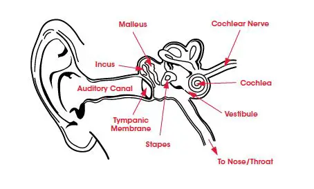 Beats Solo Pro Wireless Headphones User Guide-fig-1