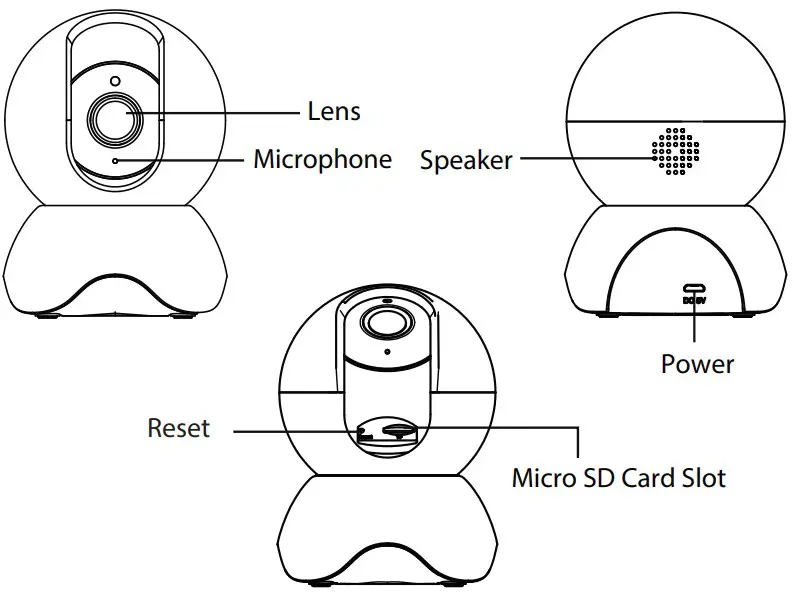 Physical Description