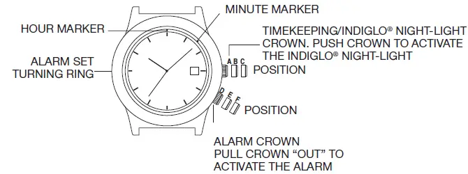 TIMEX-98748QG-Expedition-Field-Mini-Watch-6